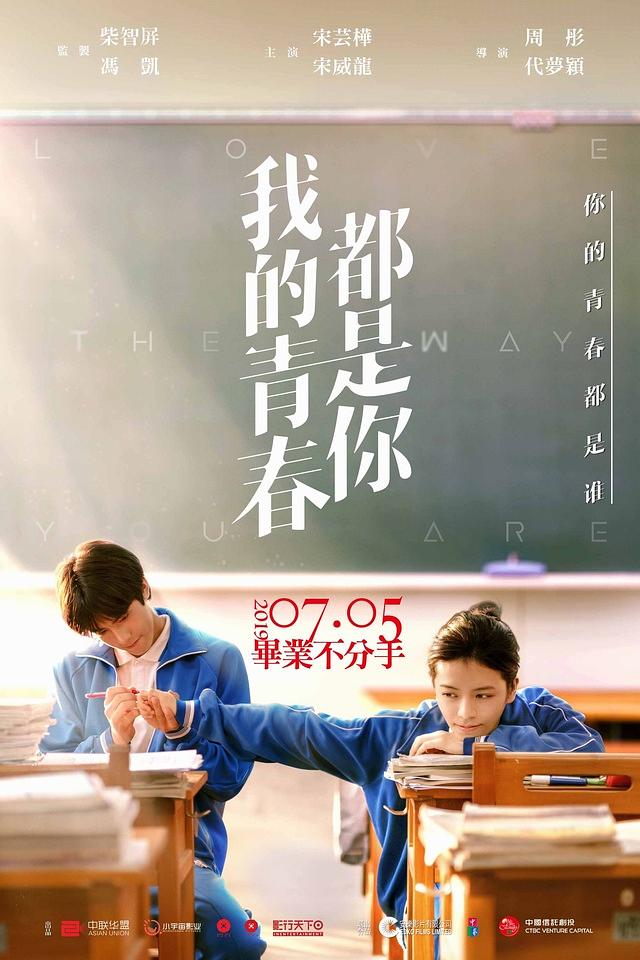 Review: Love the Way You Are (2019) | Sino-Cinema 《神州电影》